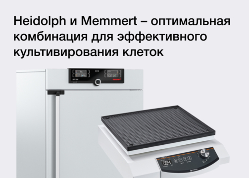 Heidolph и Memmert – оптимальная комбинация для эффективного культивирования клеток