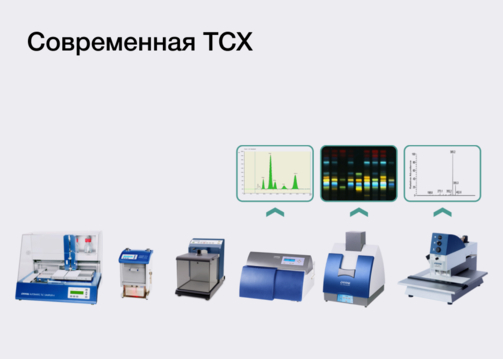 Современная  ТСХ