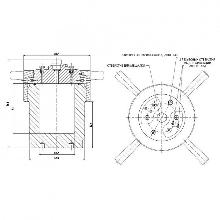 Автоклав TOP 100