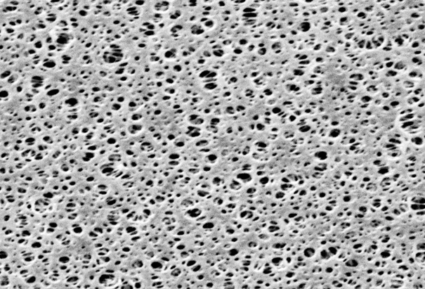 Мембранный фильтр Sartorius 15407, PES, 0,2 мкм, ⌀142 мм, белый без сетки, нестерильный, 25 шт.