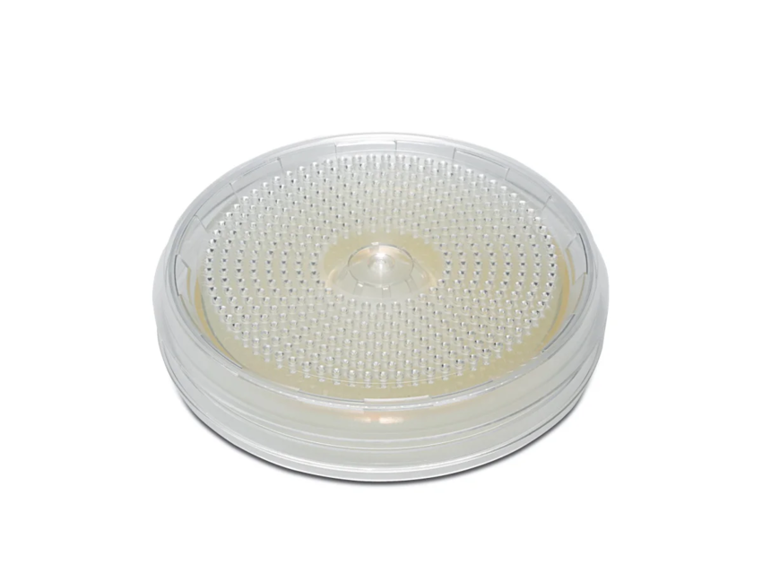 Мембранный фильтр Sartorius 11404, CN, 0,8 мкм, ⌀80 мм, белый с чёрный сеткой, нестерильный, 100 шт.