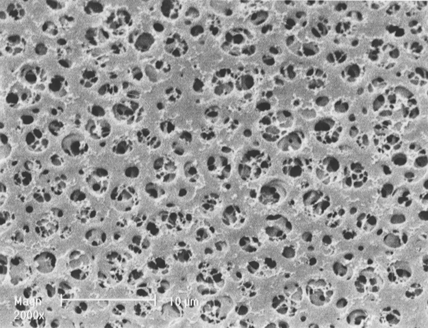 Мембранный фильтр Sartorius 11107, CA, 0,2 мкм, ⌀293 мм, белый без сетки, нестерильный, 25 шт.