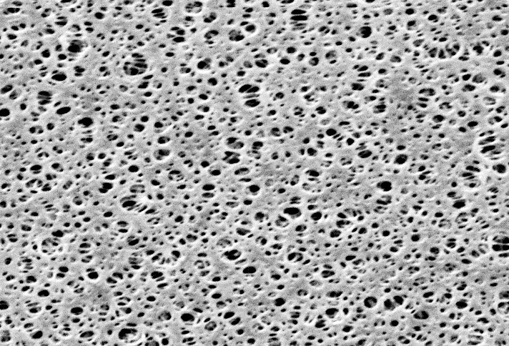 Мембранный фильтр Sartorius 15406, PES, 0,45 мкм, ⌀293 мм, белый без сетки, нестерильный, 25 шт.