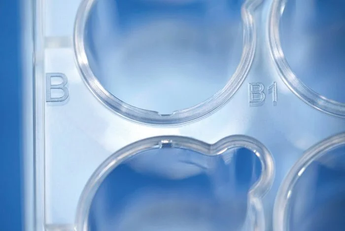 Планшет BRANDplates для вставок pureGrade, 6 лунок, с крышкой, стерильный