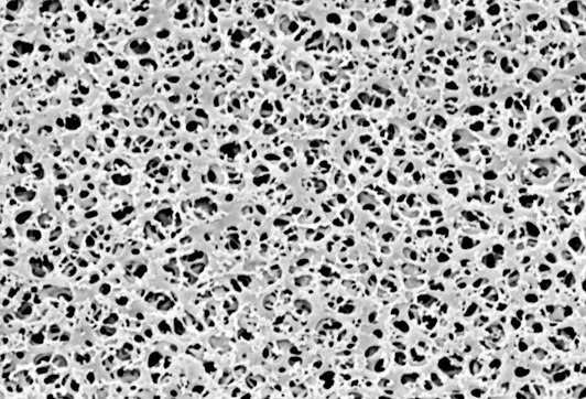 Мембранный фильтр Sartorius 11107, CA, 0,22 мкм, ⌀13 мм, белый без сетки, нестерильный, 100 шт.