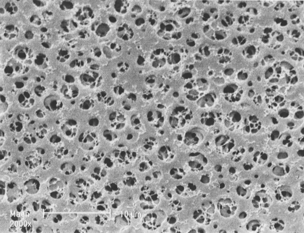 Мембранный фильтр Sartorius 12342, CA, 5 мкм, ⌀142 мм, белый без сетки, нестерильный, 25 шт.