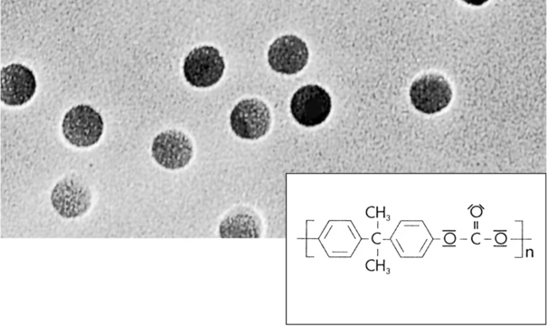 Мембранный фильтр Sartorius 23015, поликарбонат, 15 мкм, ⌀47 мм, белый без сетки, нестерильный, 100 шт.